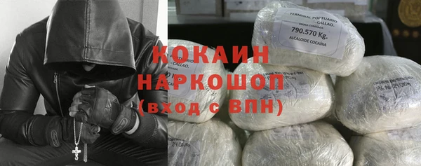 ГАЛЛЮЦИНОГЕННЫЕ ГРИБЫ Бородино