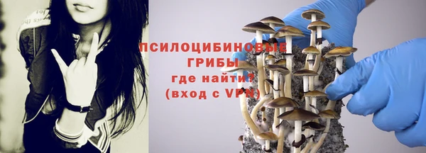 винт Бугульма