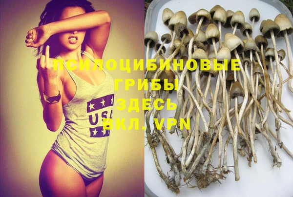 ГАЛЛЮЦИНОГЕННЫЕ ГРИБЫ Бородино