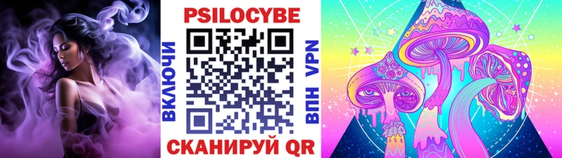где найти наркотики  кракен онион  Псилоцибиновые грибы прущие грибы  Новороссийск 