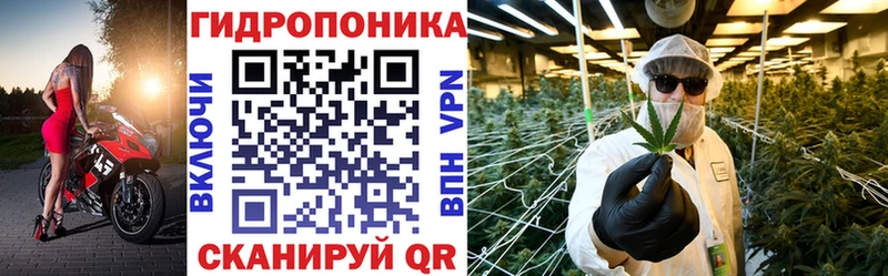 ссылка на мегу ссылка  купить  сайты  Новороссийск  Канабис VHQ 